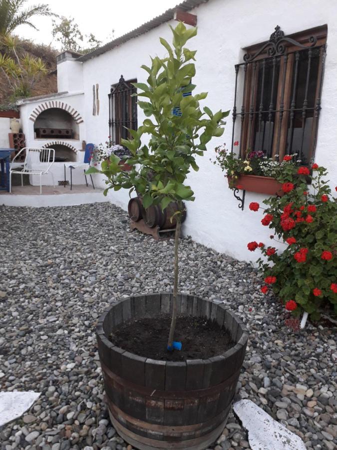 Peace And Tranquility At Montana Retreat Apartamento Alora Exterior foto