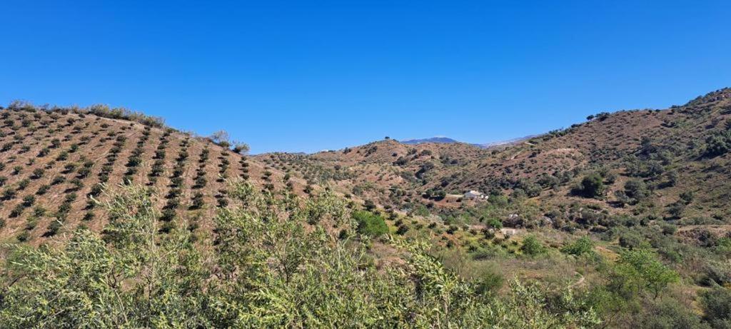Peace And Tranquility At Montana Retreat Apartamento Alora Quarto foto